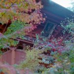 六殿神社の楼門と紅葉