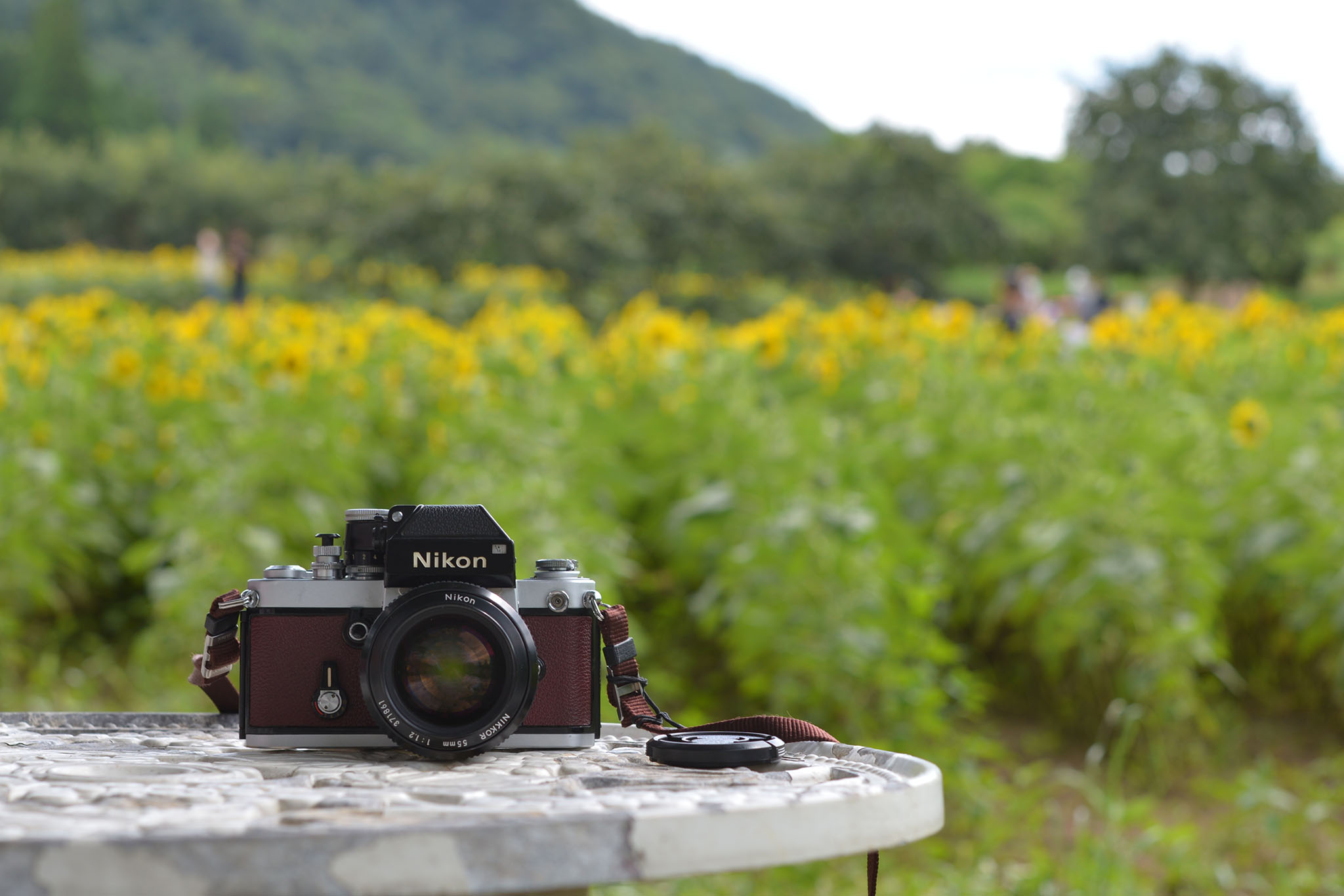 ニコン Nikon F2 フォトミック+New Nikkor 55mm F1.2