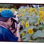 子ども達とひまわり畑