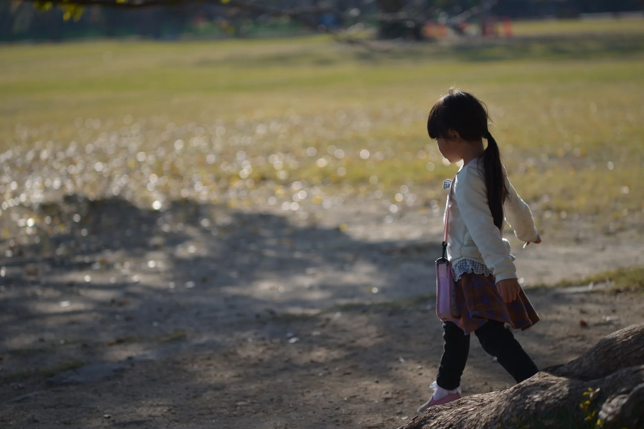 子どもの成長と距離感 | Ai Nikkor 105mm F2.5 | Photo Lens [ ふぉ