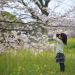 朝10分だけの桜撮影