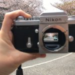 ニコンFで桜通りを撮る