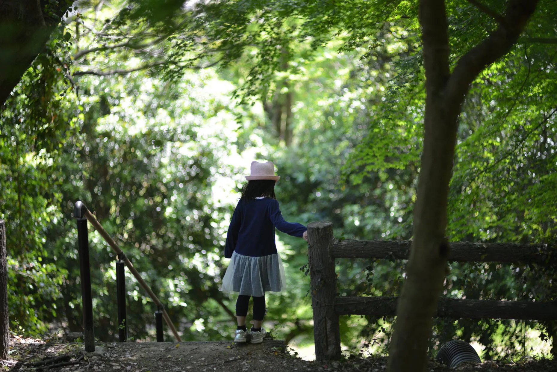 Auto時代のマイベストレンズ | Nikkor-H Auto 85mm F1.8 | Photo ...