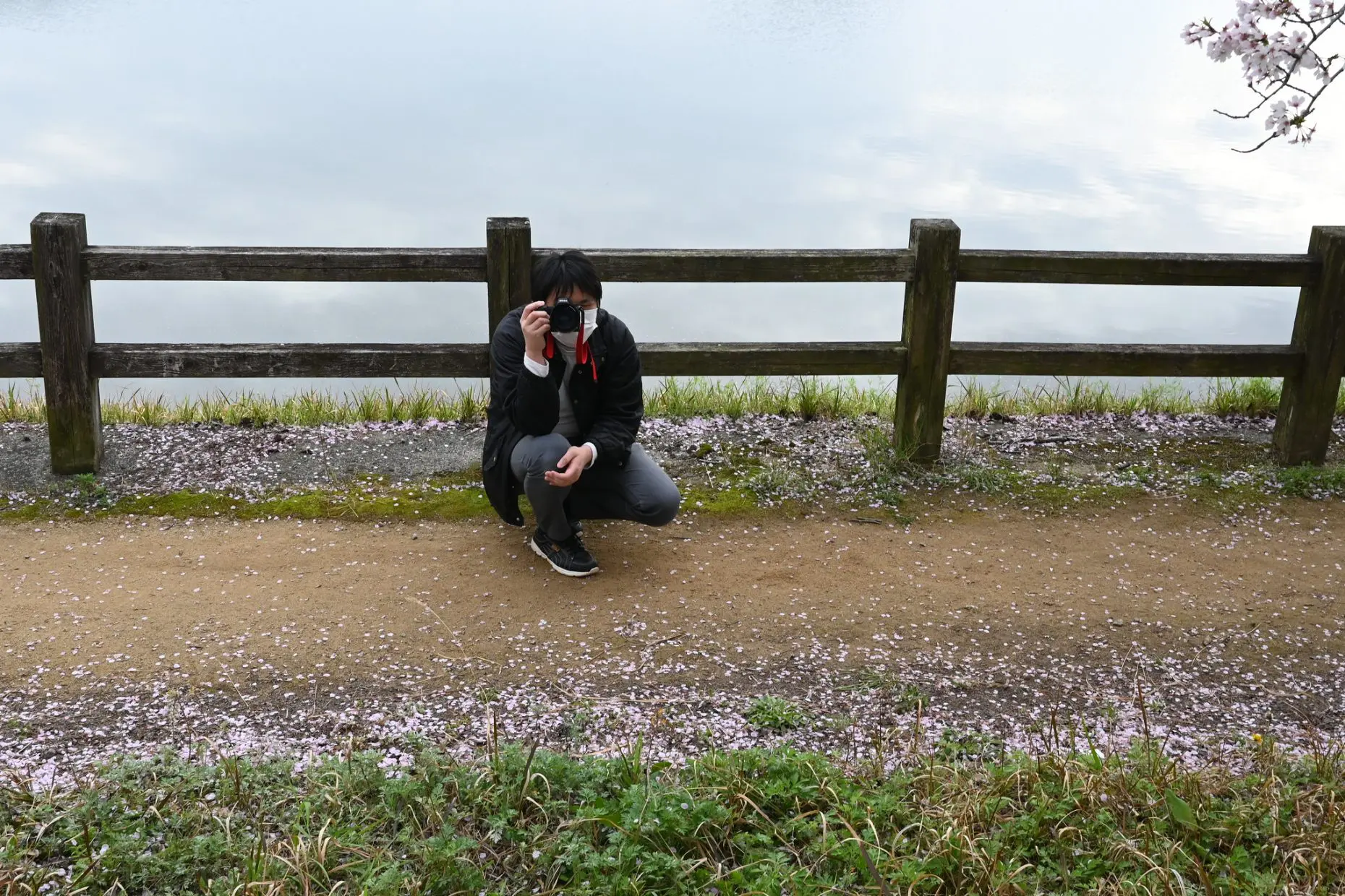 51972892540_3c6a02edf3_k-