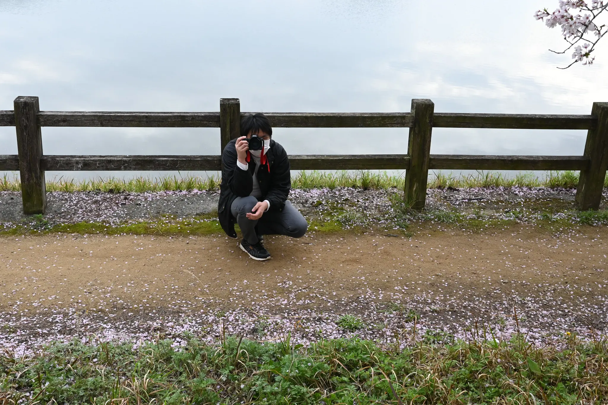 写真まとめ② 娘と桜フォトウォーク | NIKKOR Z 28mm f/2.8 Special Edition | Photo